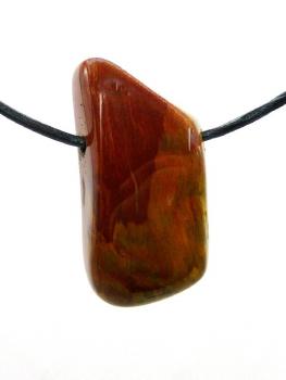 Versteinertes Holz, gebohrt